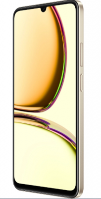 Смартфон Realme C53 256Gb 8Gb (Champion Gold)